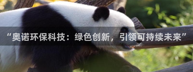 “奥诺环保科技：绿色创新，引领可持续未来”