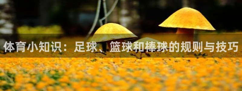 体育小知识：足球、篮球和棒球的规则与技巧