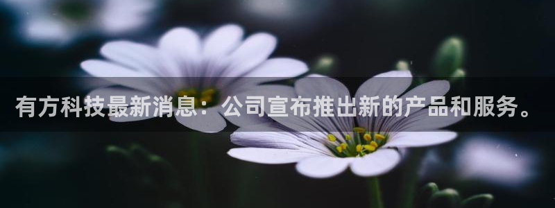 有方科技最新消息：公司宣布推出新的产品和服务。