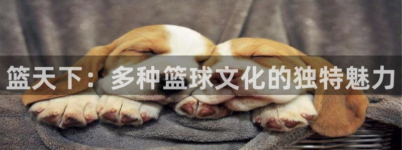 篮天下：多种篮球文化的独特魅力