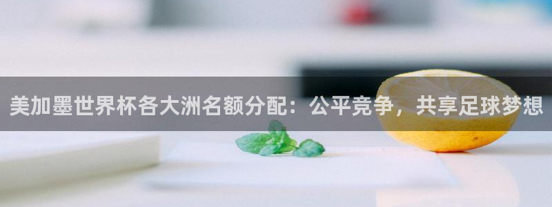 美加墨世界杯各大洲名额分配：公平竞争，共享足球梦想