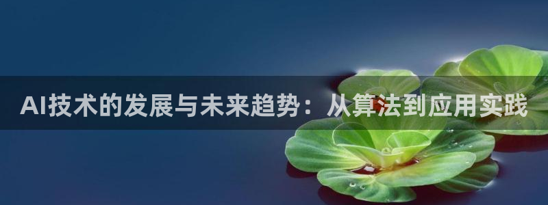AI技术的发展与未来趋势：从算法到应用实践