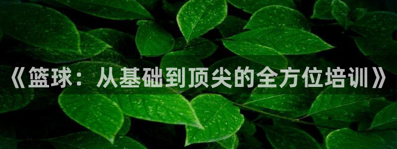 《篮球：从基础到顶尖的全方位培训》