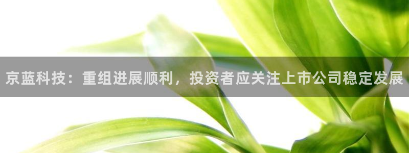 京蓝科技：重组进展顺利，投资者应关注上市公司稳定发展