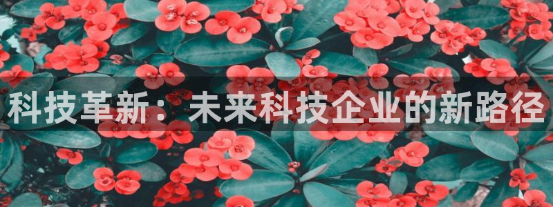 科技革新：未来科技企业的新路径