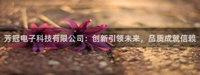 芳冠电子科技有限公司：创新引领未来，品质成就信赖