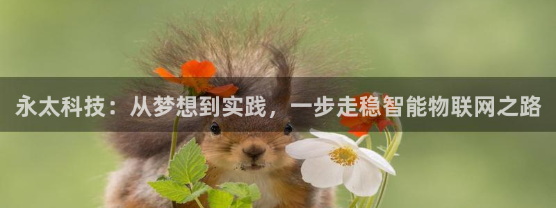永太科技：从梦想到实践，一步走稳智能物联网之路