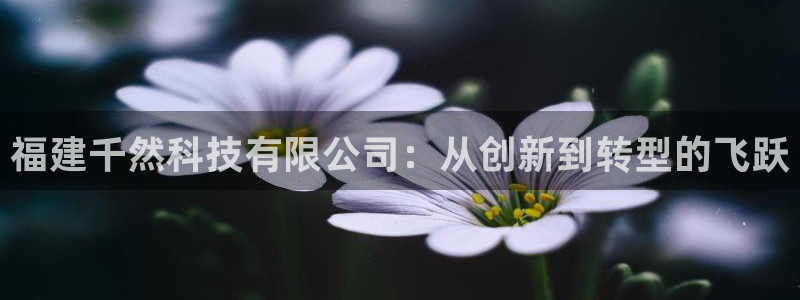 福建千然科技有限公司：从创新到转型的飞跃