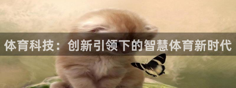 体育科技：创新引领下的智慧体育新时代