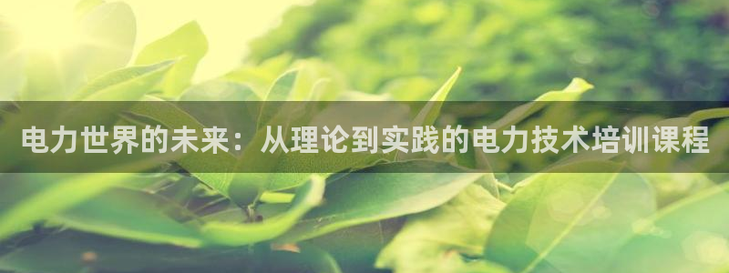 电力世界的未来：从理论到实践的电力技术培训课程